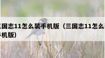 三国志11怎么装手机版（三国志11怎么装手机版）