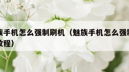 魅族手机怎么强制刷机（魅族手机怎么强制刷机教程）