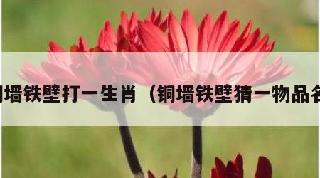 铜墙铁壁打一生肖（铜墙铁壁猜一物品名）