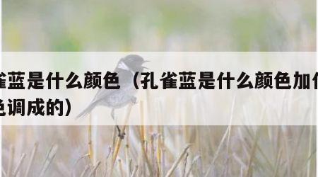 孔雀蓝是什么颜色（孔雀蓝是什么颜色加什么颜色调成的）