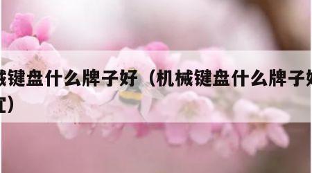 机械键盘什么牌子好（机械键盘什么牌子好又便宜）