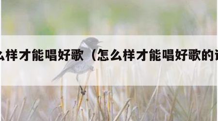 怎么样才能唱好歌（怎么样才能唱好歌的讲解）