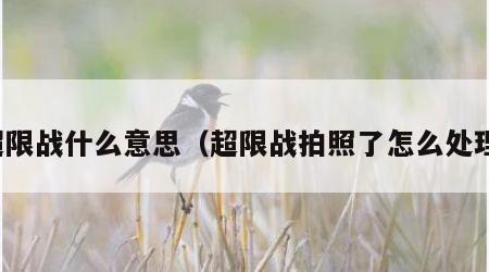 超限战什么意思（超限战拍照了怎么处理）