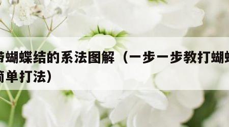 腰带蝴蝶结的系法图解（一步一步教打蝴蝶结最简单打法）