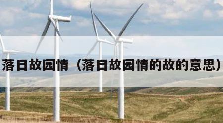 落日故园情（落日故园情的故的意思）