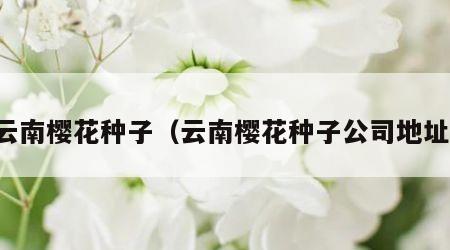 云南樱花种子（云南樱花种子公司地址）