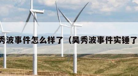 吴秀波事件怎么样了（吴秀波事件实锤了吗）