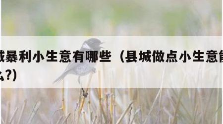 县城暴利小生意有哪些（县城做点小生意能搞什么?）