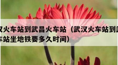 武汉火车站到武昌火车站（武汉火车站到武昌火车站坐地铁要多久时间）