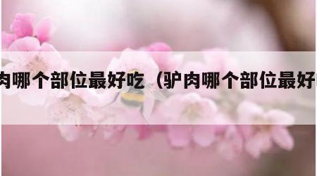 驴肉哪个部位最好吃（驴肉哪个部位最好吃?）