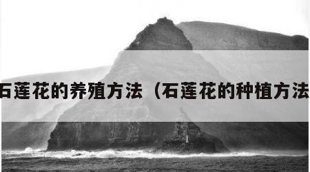 石莲花的养殖方法（石莲花的种植方法）