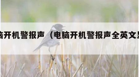 电脑开机警报声（电脑开机警报声全英文显示）