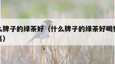 什么牌子的绿茶好（什么牌子的绿茶好喝性价比高）