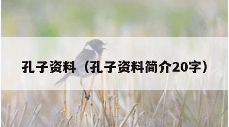 孔子资料（孔子资料简介20字）