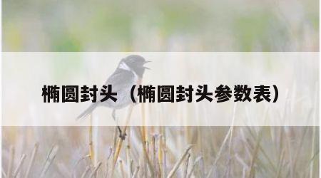 椭圆封头（椭圆封头参数表）