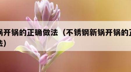 新锅开锅的正确做法（不锈钢新锅开锅的正确做法）
