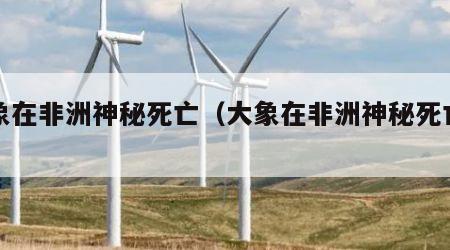 大象在非洲神秘死亡（大象在非洲神秘死亡视频）
