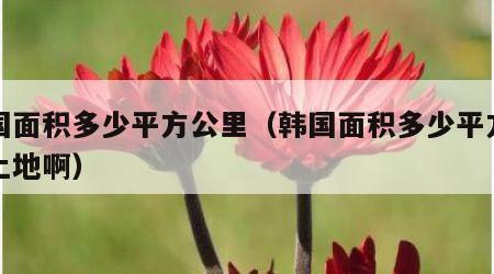 韩国面积多少平方公里（韩国面积多少平方公里土地啊）
