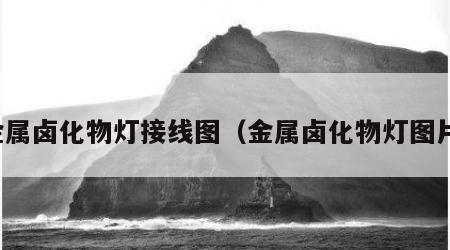 金属卤化物灯接线图（金属卤化物灯图片）