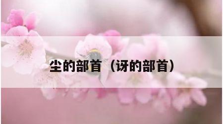 尘的部首（讶的部首）