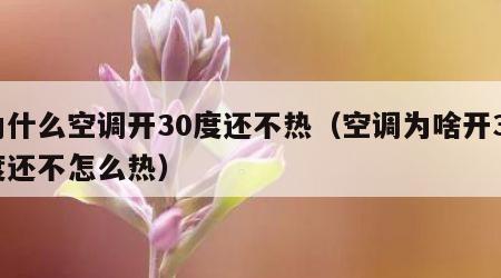 为什么空调开30度还不热（空调为啥开30度还不怎么热）