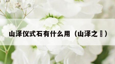 山泽仪式石有什么用（山泽之臞）
