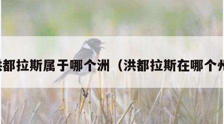洪都拉斯属于哪个洲（洪都拉斯在哪个州）