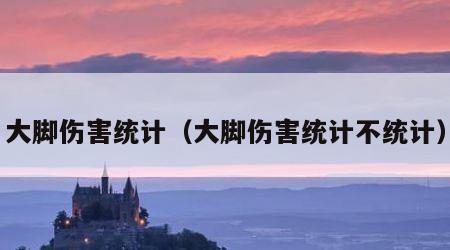 大脚伤害统计（大脚伤害统计不统计）