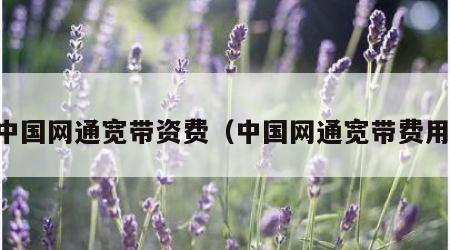 中国网通宽带资费（中国网通宽带费用）