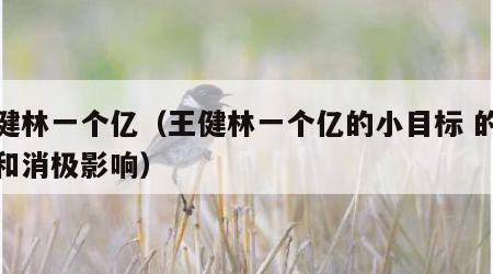 王健林一个亿（王健林一个亿的小目标 的积极和消极影响）