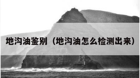 地沟油鉴别（地沟油怎么检测出来）