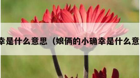 确幸是什么意思（娘俩的小确幸是什么意思）