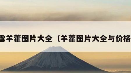 霪羊藿图片大全（羊藿图片大全与价格）