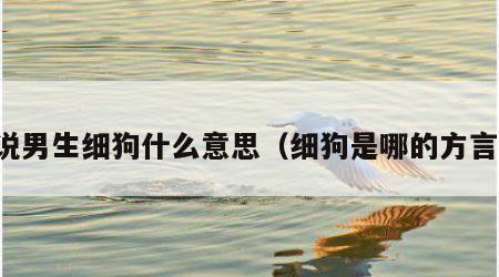 说男生细狗什么意思（细狗是哪的方言）