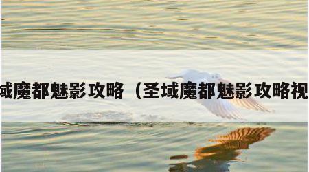 圣域魔都魅影攻略（圣域魔都魅影攻略视频）