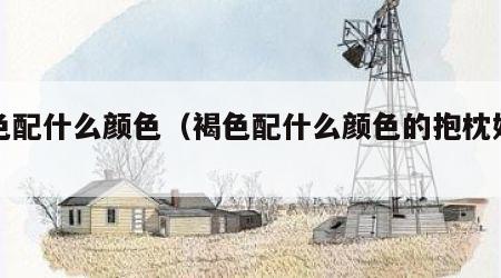 褐色配什么颜色（褐色配什么颜色的抱枕好看）