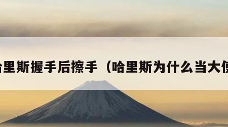 哈里斯握手后擦手（哈里斯为什么当大使）