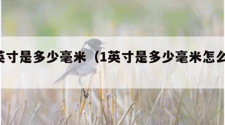 1英寸是多少毫米（1英寸是多少毫米怎么算）