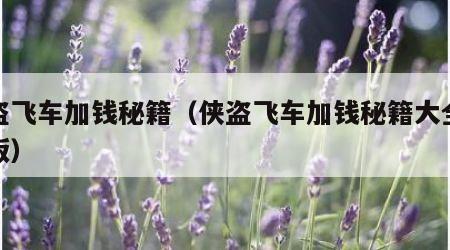 侠盗飞车加钱秘籍（侠盗飞车加钱秘籍大全完整版）