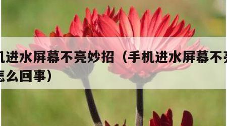 手机进水屏幕不亮妙招（手机进水屏幕不亮了是怎么回事）