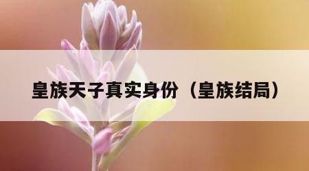 皇族天子真实身份（皇族结局）