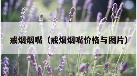 戒烟烟嘴（戒烟烟嘴价格与图片）