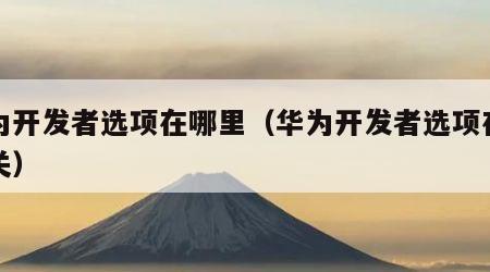 华为开发者选项在哪里（华为开发者选项在哪里关）