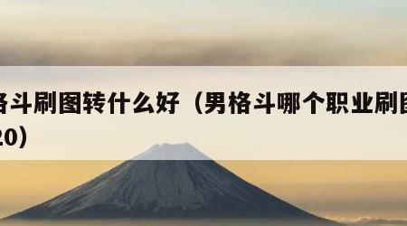 男格斗刷图转什么好（男格斗哪个职业刷图好2020）