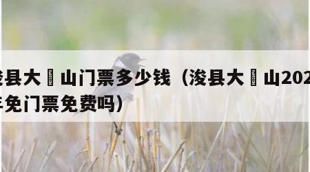 浚县大伾山门票多少钱（浚县大伾山2020年免门票免费吗）