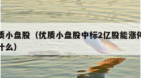 优质小盘股（优质小盘股中标2亿股能涨停吗为什么）