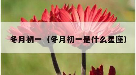 冬月初一（冬月初一是什么星座）