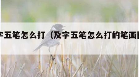 及字五笔怎么打（及字五笔怎么打的笔画图片）