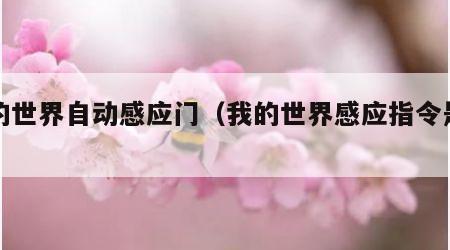 我的世界自动感应门（我的世界感应指令是什么）
