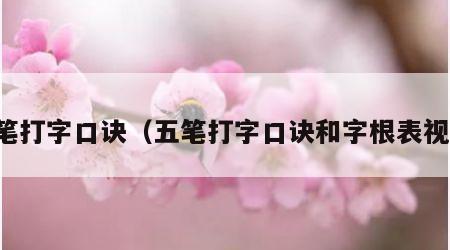 五笔打字口诀（五笔打字口诀和字根表视频）